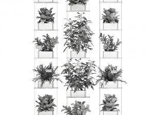 vertical garden for the kitchen 69 Model 3D