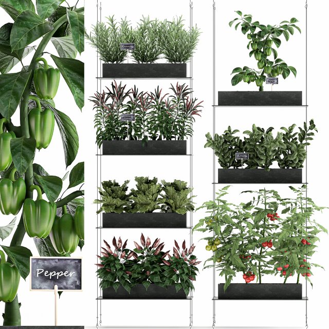 vertical garden for the kitchen 70 Modelo 3D .c4d .max .obj .3ds .fbx .stl .blend 