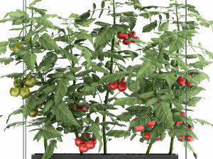 vertical garden for the kitchen 70 Modelo 3D
