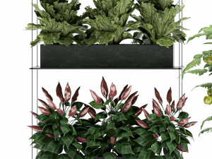 vertical garden for the kitchen 70 Modelo 3D