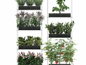 vertical garden for the kitchen 70 Modelo 3D