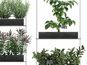 vertical garden for the kitchen 70 Modelo 3D