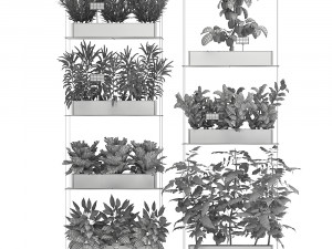 vertical garden for the kitchen 70 Modelo 3D