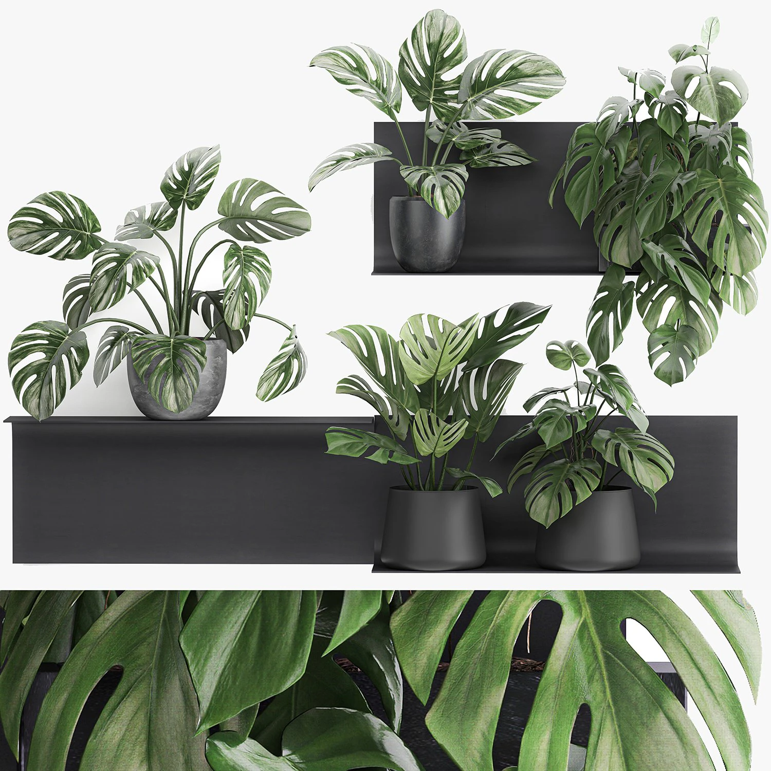 decorative shelf with flowers monstera in pots 71 3D Model .c4d .max .obj .3ds .fbx .stl .blend 