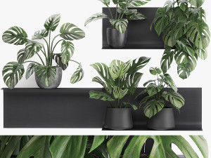 decorative shelf with flowers monstera in pots 71 3D Model