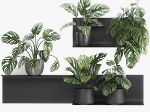 decorative shelf with flowers monstera in pots 71 Modello 3D