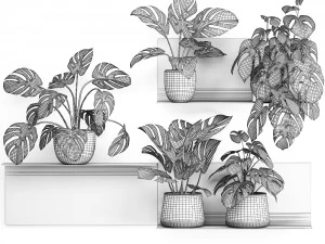 decorative shelf with flowers monstera in pots 71 3D Model