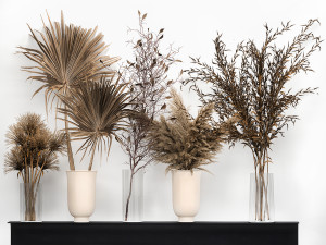 bouquet collection of dried flowers in a vase 181 3Dモデル