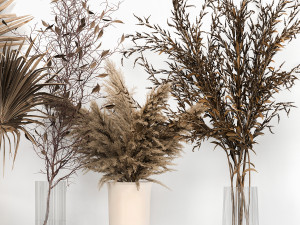 bouquet collection of dried flowers in a vase 181 3Dモデル