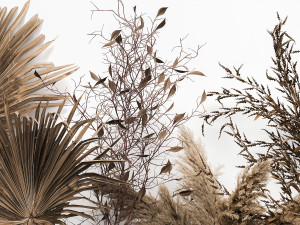 bouquet collection of dried flowers in a vase 181 3Dモデル