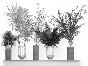 bouquet collection of dried flowers in a vase 181 3Dモデル