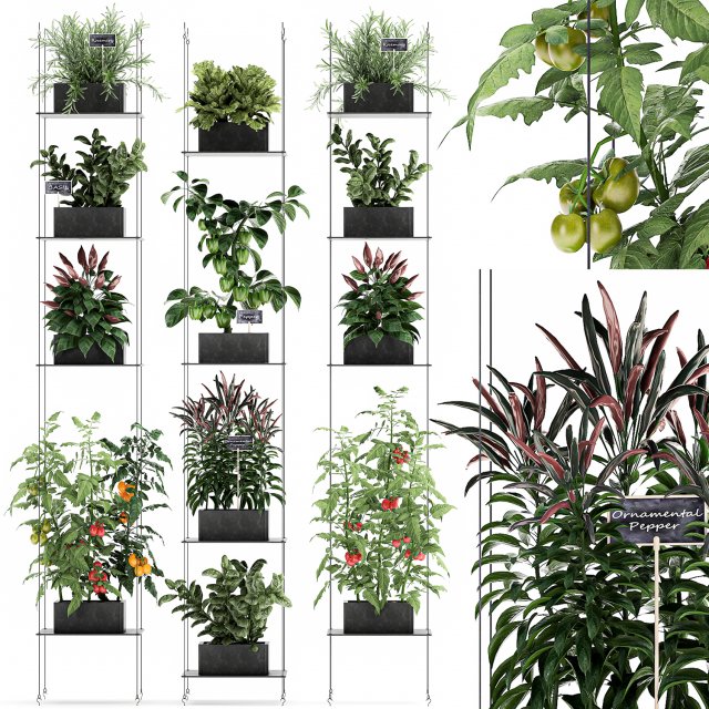 vertical garden for the kitchen 72 3Dモデル .c4d .max .obj .3ds .fbx .stl .blend 