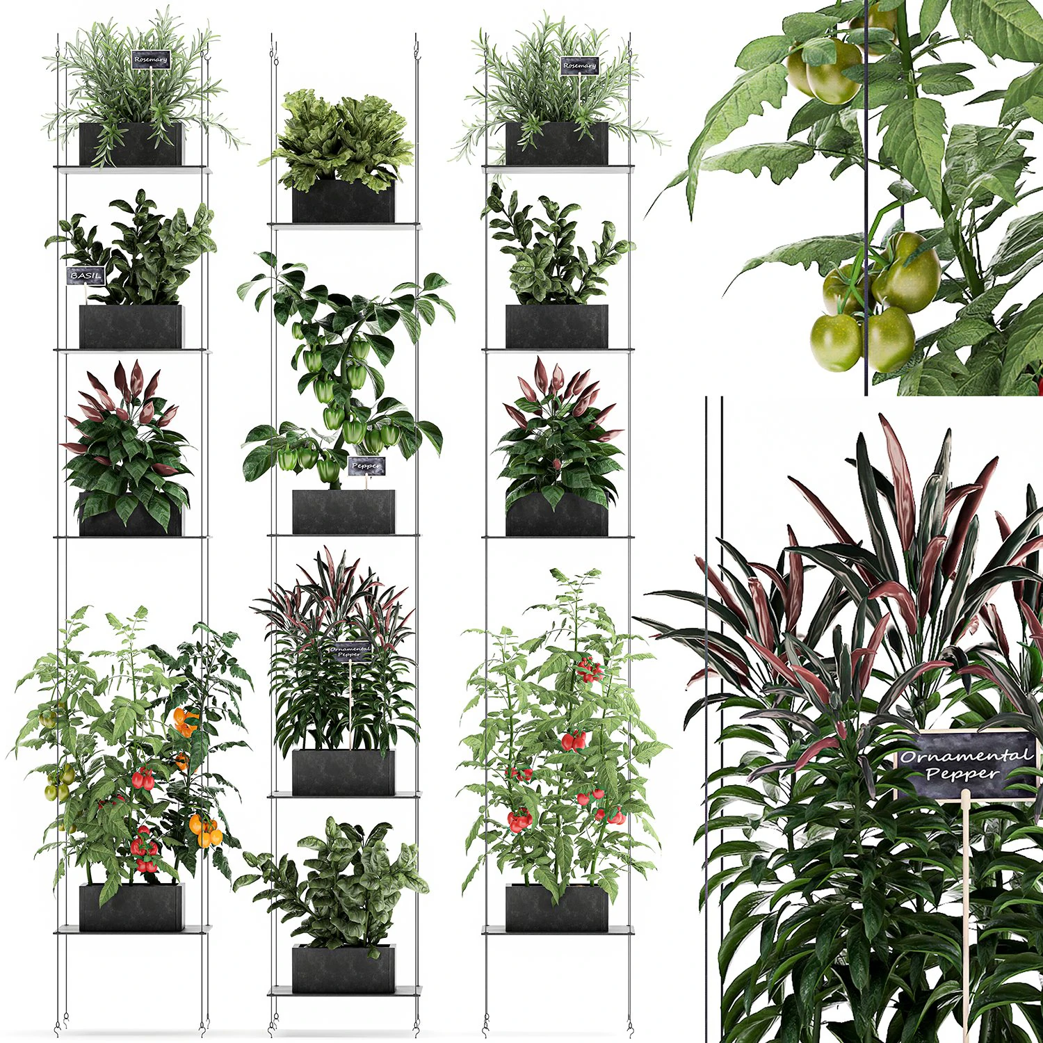 vertical garden for the kitchen 72 3D Model .c4d .max .obj .3ds .fbx .stl .blend