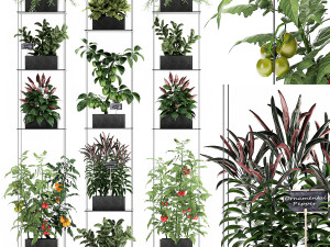 vertical garden for the kitchen 72 3D Model