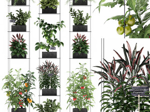 vertical garden for the kitchen 72 3Dモデル