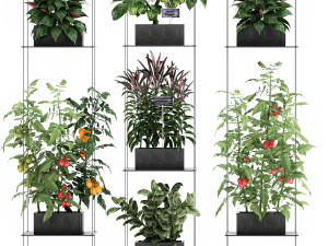 vertical garden for the kitchen 72 3Dモデル