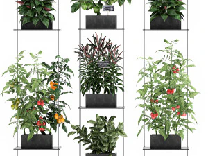 vertical garden for the kitchen 72 3D Model