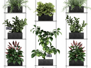 vertical garden for the kitchen 72 3Dモデル