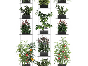 vertical garden for the kitchen 72 3Dモデル