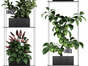 vertical garden for the kitchen 72 3Dモデル