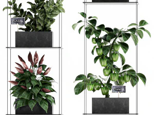 vertical garden for the kitchen 72 3D Model