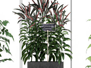 vertical garden for the kitchen 72 3Dモデル