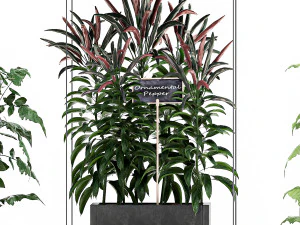 vertical garden for the kitchen 72 3D Model