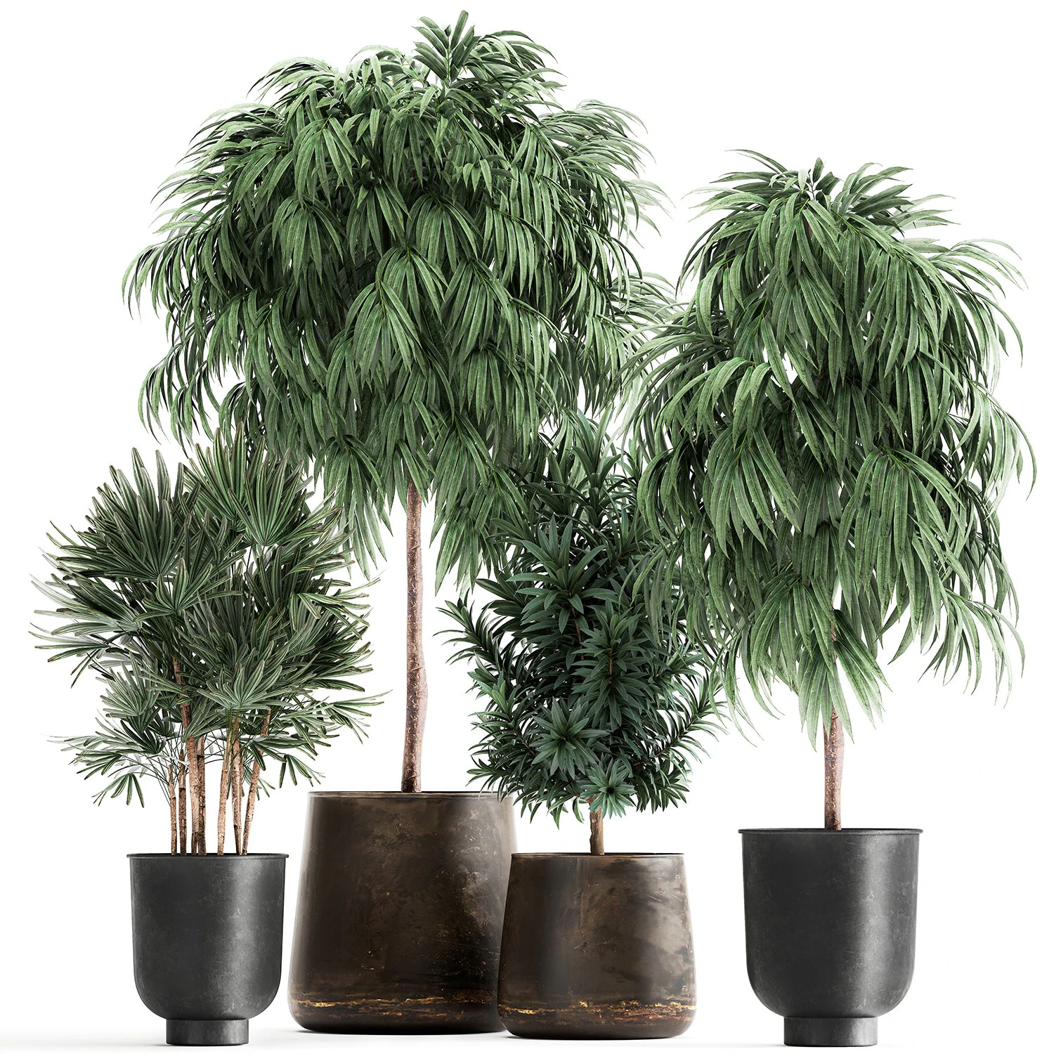 plants in a rusty flowerpot for the interior 1056 3D Model .c4d .max .obj .3ds .fbx .stl .blend
