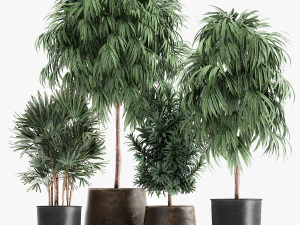 plants in a rusty flowerpot for the interior 1056 3D Model