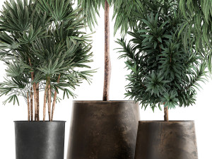 plants in a rusty flowerpot for the interior 1056 3Dモデル