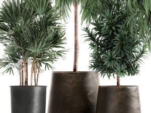 plants in a rusty flowerpot for the interior 1056 3D Model