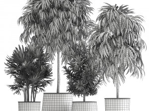 plants in a rusty flowerpot for the interior 1056 3Dモデル