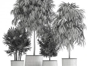 plants in a rusty flowerpot for the interior 1056 3D Model