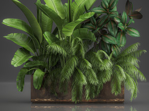 decorative plants for outdoor and interior in metal pots 1057 Model 3D