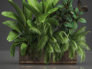 decoratieve planten voor buiten en binnen in metalen potten 1057 3D Model