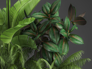 decorative plants for outdoor and interior in metal pots 1057 Model 3D