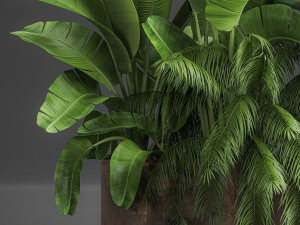 decorative plants for outdoor and interior in metal pots 1057 Model 3D