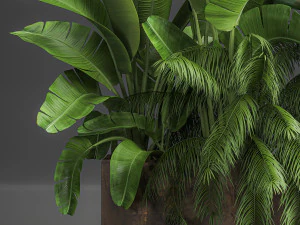 decorative plants for outdoor and interior in metal pots 1057 3D Model
