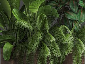decorative plants for outdoor and interior in metal pots 1057 Model 3D
