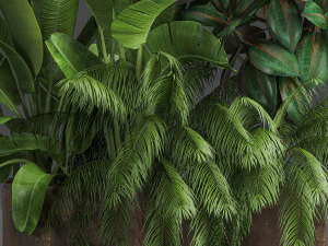 decorative plants for outdoor and interior in metal pots 1057 3D Model