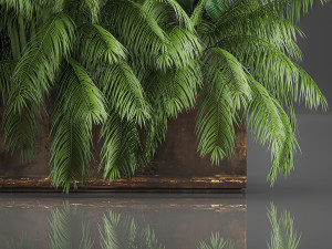 decorative plants for outdoor and interior in metal pots 1057 Model 3D