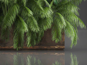 decorative plants for outdoor and interior in metal pots 1057 3D Model