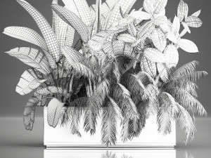 decorative plants for outdoor and interior in metal pots 1057 Model 3D