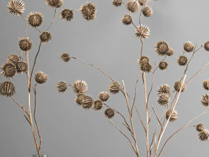bouquet of dried flowers in a glass vase 182 3D Model