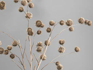 bouquet of dried flowers in a glass vase 182 3D Model
