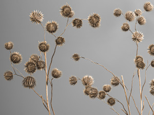 bouquet of dried flowers in a glass vase 182 Modelo 3D