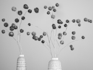 bouquet of dried flowers in a glass vase 182 Modelo 3D