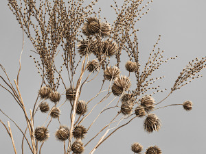 bouquet of dried flowers in a glass vase 183 3Dモデル