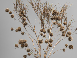 bouquet of dried flowers in a glass vase 183 3Dモデル