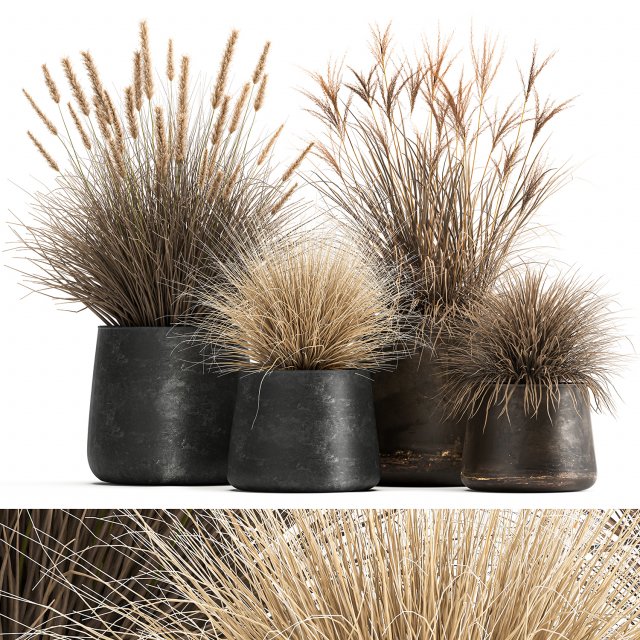 dried reeds in a rusty flowerpot for the interior 1058 3D Модель .c4d .max .obj .3ds .fbx .stl .blend 